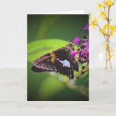 Schmetterling, Karte (Gelbe Blume)