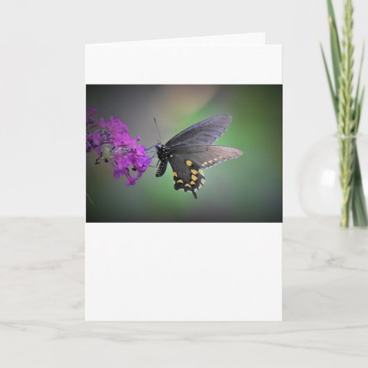 Schmetterling, Karte (Vorderseite)