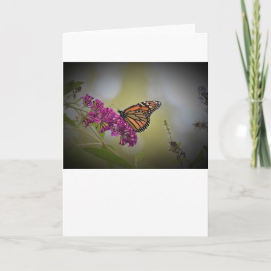 Schmetterling, Karte (Vorderseite)