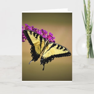 Schmetterling, Karte