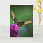 Schmetterling, Karte (Gelbe Blume)