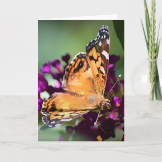 Schmetterling, Karte (Vorderseite)