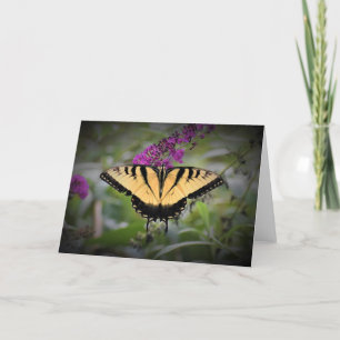 Schmetterling, Karte