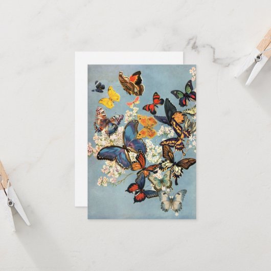 Schmetterling Karte (Vorderseite/Rückseite Beispiel)