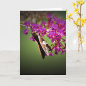 Schmetterling, Karte (Gelbe Blume)