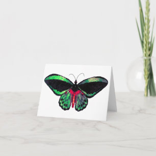 Schmetterling ~ Karte / Einladungen