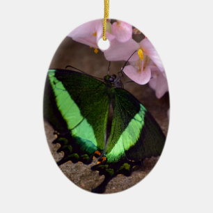 Schmetterling Keramikornament