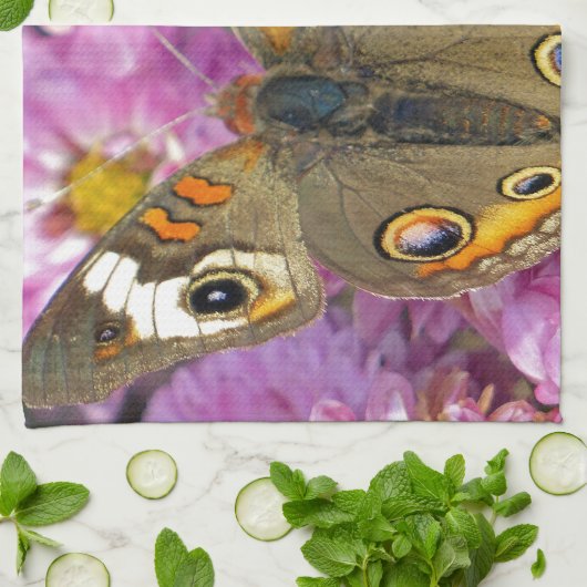 Schmetterling Küchentuch (Gefaltet)