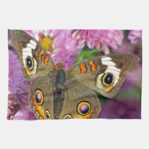 Schmetterling Küchentuch
