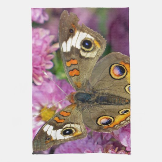 Schmetterling Küchentuch (Vertikal)