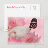 Schmetterling küsst Postkarte (Vorne/Hinten)