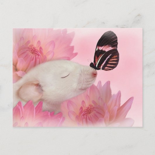 Schmetterling küsst Postkarte (Vorderseite)