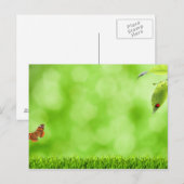 Schmetterling & Ladybug über Gras Postkarte (Vorne/Hinten)