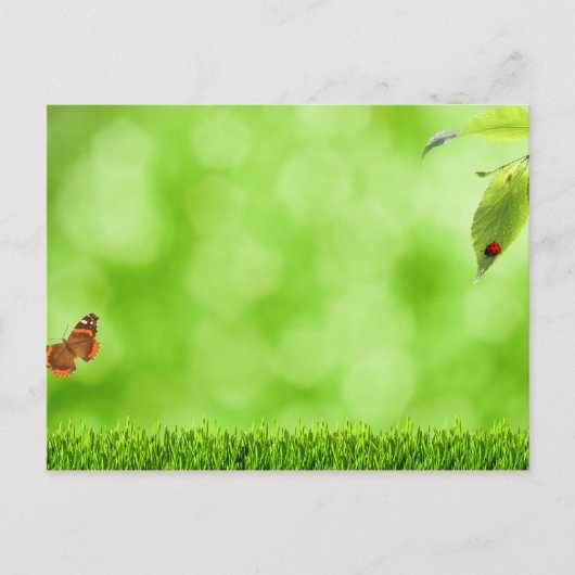 Schmetterling & Ladybug über Gras Postkarte (Vorderseite)