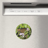 Schmetterling landet auf einer Blume Magnet (In Situ (Geschirrspüler))