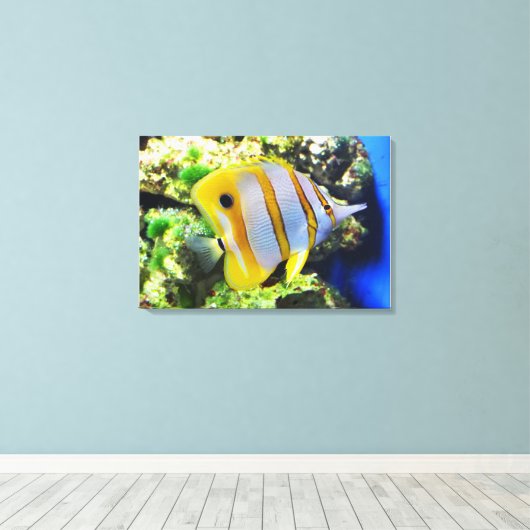 Schmetterling Leinwanddruck (Insitu (Holzboden))