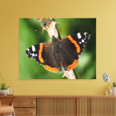 Schmetterling Leinwanddruck (Insitu (Wohnzimmer))