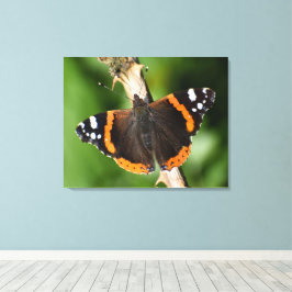 Schmetterling Leinwanddruck