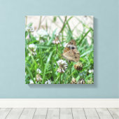 Schmetterling Leinwanddruck (Insitu (Holzboden))