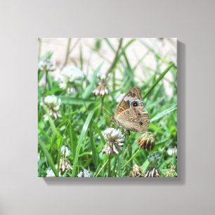 Schmetterling Leinwanddruck