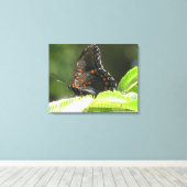 Schmetterling Leinwanddruck (Insitu (Holzboden))
