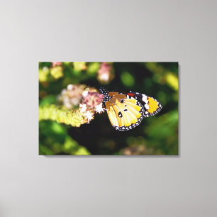 Schmetterling Leinwanddruck