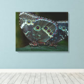 Schmetterling Leinwanddruck (Insitu (Holzboden))