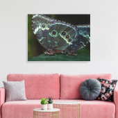 Schmetterling Leinwanddruck (Insitu (Wohnzimmer))