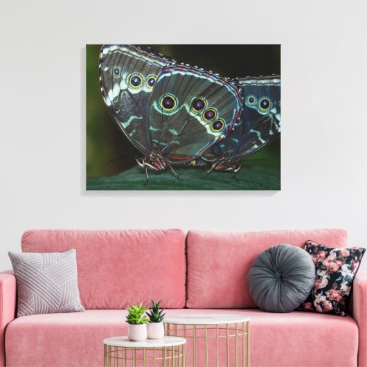 Schmetterling Leinwanddruck (Insitu (Wohnzimmer))