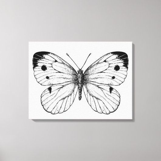 Schmetterling Leinwanddruck (Vorderseite)