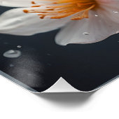 *~* Schmetterling Magische Wasserfarbe AP52 Blume Poster (Ecke)