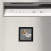 Schmetterling Magnet (In Situ (Geschirrspüler))