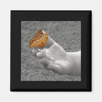 Schmetterling Magnet