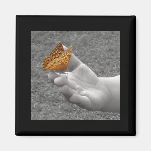 Schmetterling Magnet (Vorne)