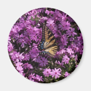 Schmetterling Magnet
