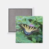 Schmetterling Magnet (Vorderseite/Rückseite)