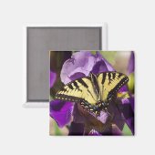 Schmetterling Magnet (Vorderseite/Rückseite)