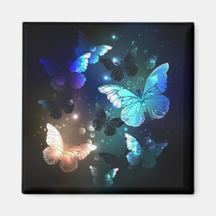 Schmetterling Magnet