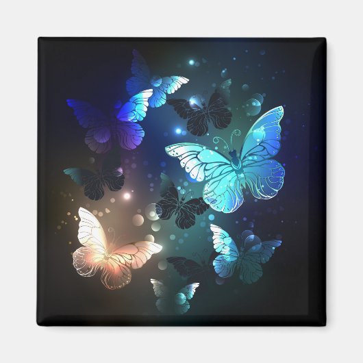 Schmetterling Magnet (Vorne)