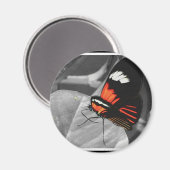 Schmetterling Magnet (Vorderseite/Rückseite)