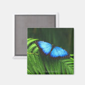 Schmetterling Magnet (Vorderseite/Rückseite)