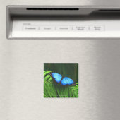 Schmetterling Magnet (In Situ (Geschirrspüler))