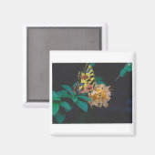 Schmetterling Magnet (Vorderseite/Rückseite)