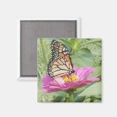 Schmetterling Magnet (Vorderseite/Rückseite)