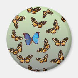 Schmetterling Magnet