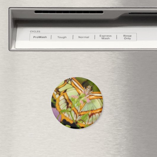 Schmetterling Magnet (In Situ (Geschirrspüler))