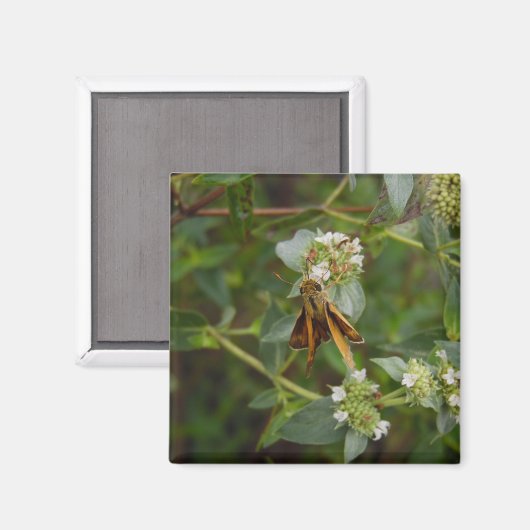 Schmetterling Magnet (Vorderseite/Rückseite)