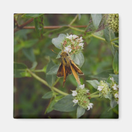 Schmetterling Magnet