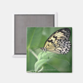 Schmetterling Magnet (Vorderseite/Rückseite)