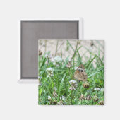 Schmetterling Magnet (Vorderseite/Rückseite)